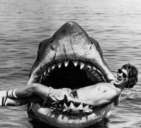 白鲨爆料宝宝视频大全,宝宝成长瞬间，温馨视频大盘点  第2张